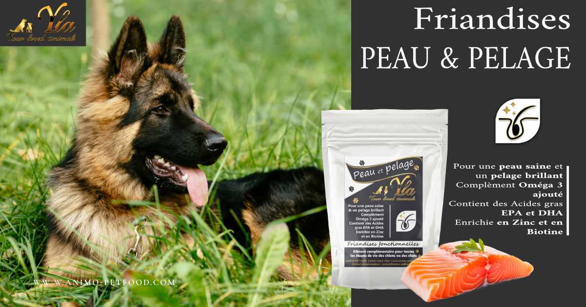 friandises-peau-pelage-pour-chiot